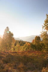 autumn landscape in the mountains