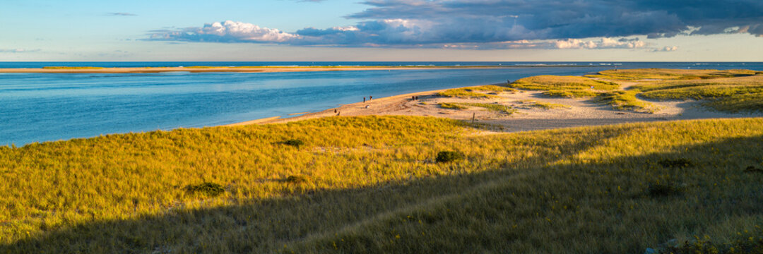 Sunset seascape with long shadows, gold-colored beach grasses over sand dunes in Chatham Lighthouse Beach