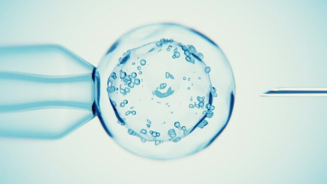 Artificial insemination of a cell or injection.