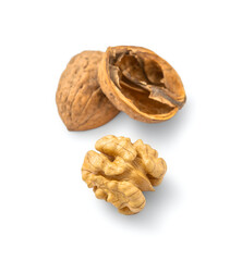 Walnut isolated on white background. With clipping path.