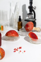 Fly agaric mushrooms. Amanita microdosing is the use of dried mushrooms in literally microscopic dosage.