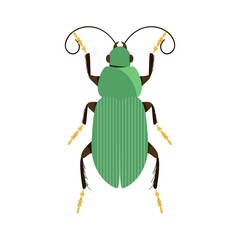Vector illustration of a green bug
