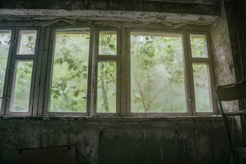 Old wooden window in an abandoned house. Shabby walls. Green foliage outside the window.