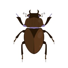 Vector illustration of a brown beetle