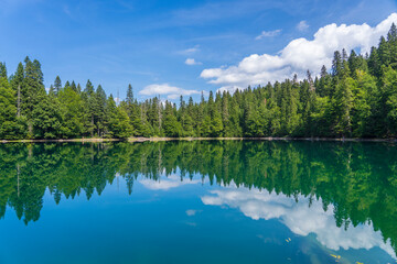 Fototapeta na wymiar Mountain lake surrounded by dense coniferous and beech forest. Montenegro, Europe