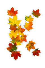 Letter K of colorful autumnal maple leaves on white background. Top view, flat lay