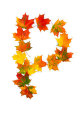 Letter P of colorful autumnal maple leaves on white background. Top view, flat lay