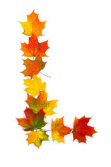 Letter L of colorful autumnal maple leaves on white background. Top view, flat lay