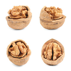 Set with tasty walnuts on white background