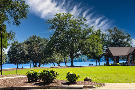 a gorgeous shot of the park at the lake with green grass, a brown wooden pergola, lush green trees with people relaxing on the banks of the lake with blue sky and clouds at Lake Peachtree - Powered by Adobe