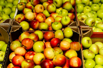 Many different apples in boxes on the market counter. Health and vitamins from nature.