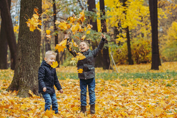 cute happy caucasian boys throw yellow fallen leaves up in the air. Autumn mood