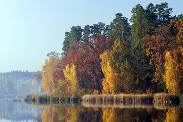 Autumn trees with red and yellow leaves near the lake are reflected in the water of the lake.
