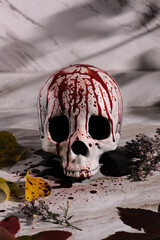 Bloody Halloween Skull