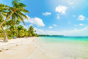 Clear water in La Caravelle beach in Guadeloupe