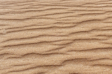Brown wavy sand texture close up, beautiful natural natural background