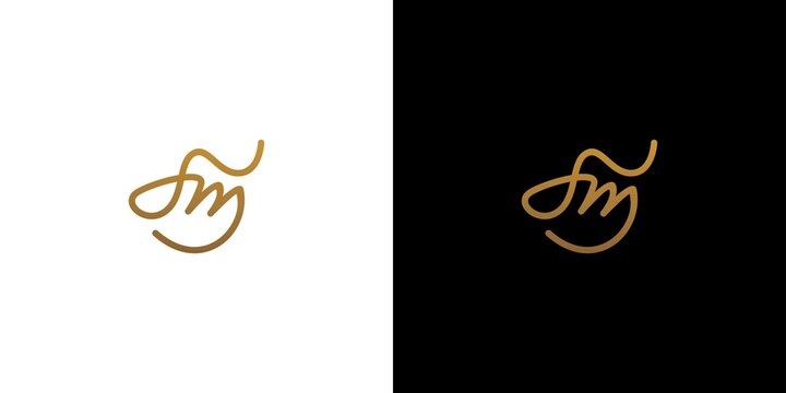 Modern and elegant SM  initials logo design
