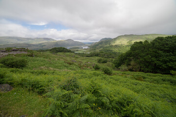 Fototapeta premium very beautiful landscape