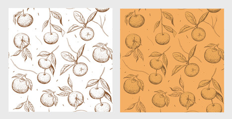 Mandarin. Seamless pattern. Sketch illustration set. Vector