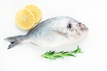 raw dorado fish with lemon and rosemary on a white plate