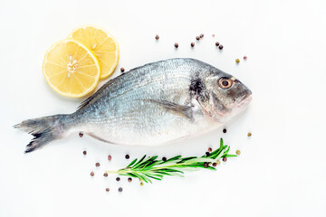 raw dorado fish with lemon and rosemary on a white plate