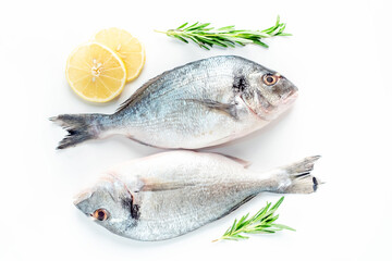 raw dorado fish with lemon and rosemary on a white plate