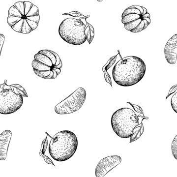 Mandarin. Seamless pattern. Sketch illustration set. Vector