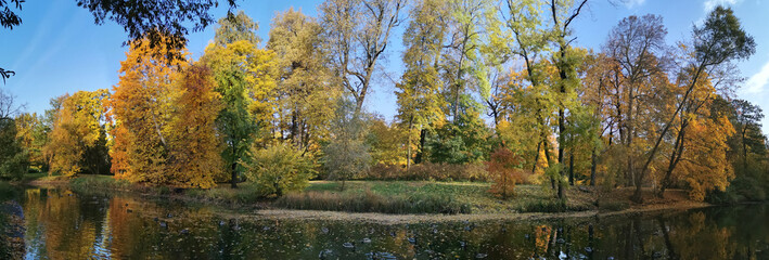 Autumn in the park. Trees with bright, already falling leaves grow on the shore of the pond and are reflected in its water.