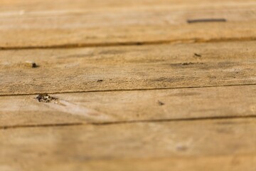 grunge wood panels