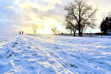 winter landscape with snow