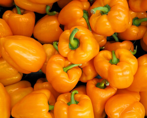 lots of orange sweet pepper. top view