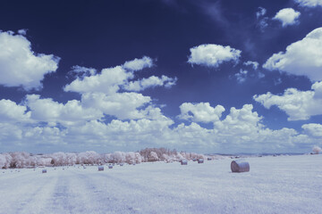 infrared photography - surreal ir photo of landscape with trees under cloudy sky - the art of our...