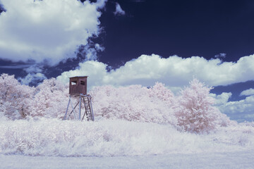 infrared photography - surreal ir photo of landscape with trees under cloudy sky - the art of our...