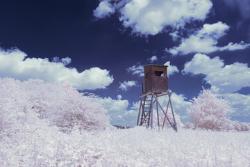infrared photography - surreal ir photo of landscape with trees under cloudy sky - the art of our...