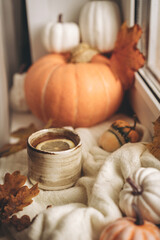 Cozy autumn morning still life scene. Steaming cup of hot tea standing near the window. Fall, Thanksgiving concept. Pumpkins and leaves, wool sweater