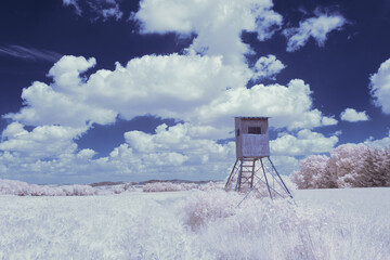 infrared photography - surreal ir photo of landscape with trees under cloudy sky - the art of our...