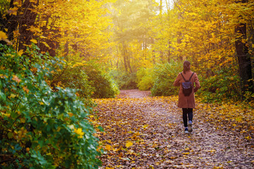 Obraz premium a girl walks in an autumn park