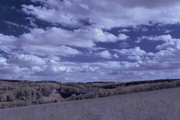 infrared photography - surreal ir photo of landscape with trees under cloudy sky - the art of our...
