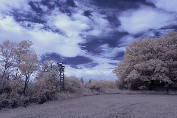 infrared photography - surreal ir photo of landscape with trees under cloudy sky - the art of our...
