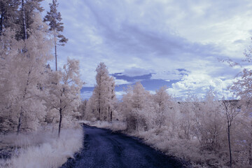 infrared photography - surreal ir photo of landscape with trees under cloudy sky - the art of our...