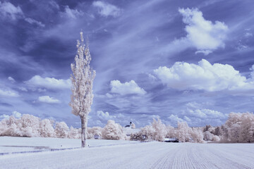 infrared photography - surreal ir photo of landscape with trees under cloudy sky - the art of our...