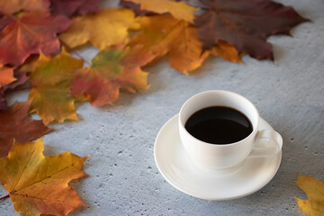 Multi colored maple leaves and white cup of coffee on a cement background. Autumn concept.