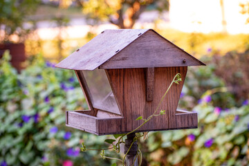 Wooden bird house with vine
