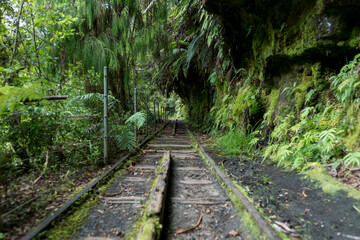 Abandoned railway along the Charming Creek Walkway in the Ngakawau Gorge, West Coast, New Zealand.