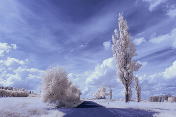 infrared photography - surreal ir photo of landscape with trees under cloudy sky - the art of our...
