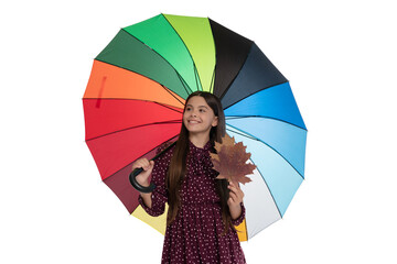 happy child with umbrella for rainy weather and autumn maple leaf isolated on white, september.