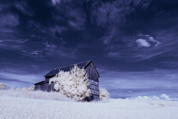 infrared photography - surreal ir photo of landscape with trees under cloudy sky - the art of our...