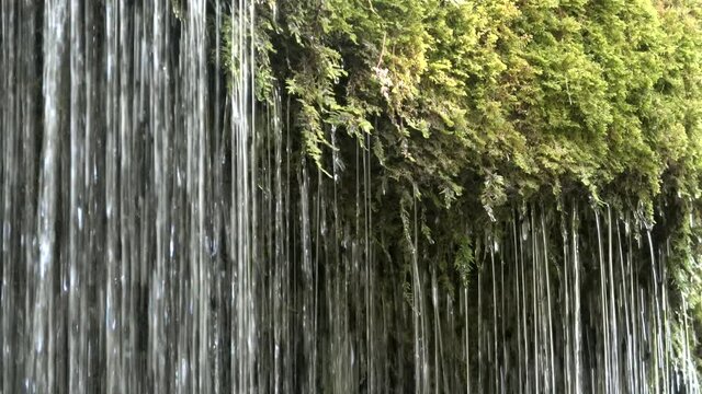 Wasserfall mit Moos