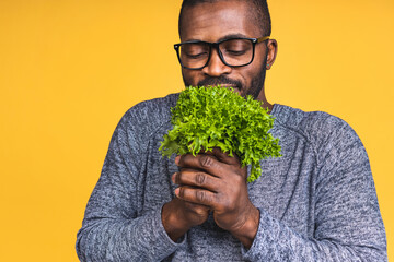 Portrait of handsome young african american black man holding fresh lettuce leaves isolated over yellow background.