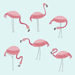 Vector set with six flamingos. Pink Flamingos stand isolated on a blue background. Hand drawn illustration.